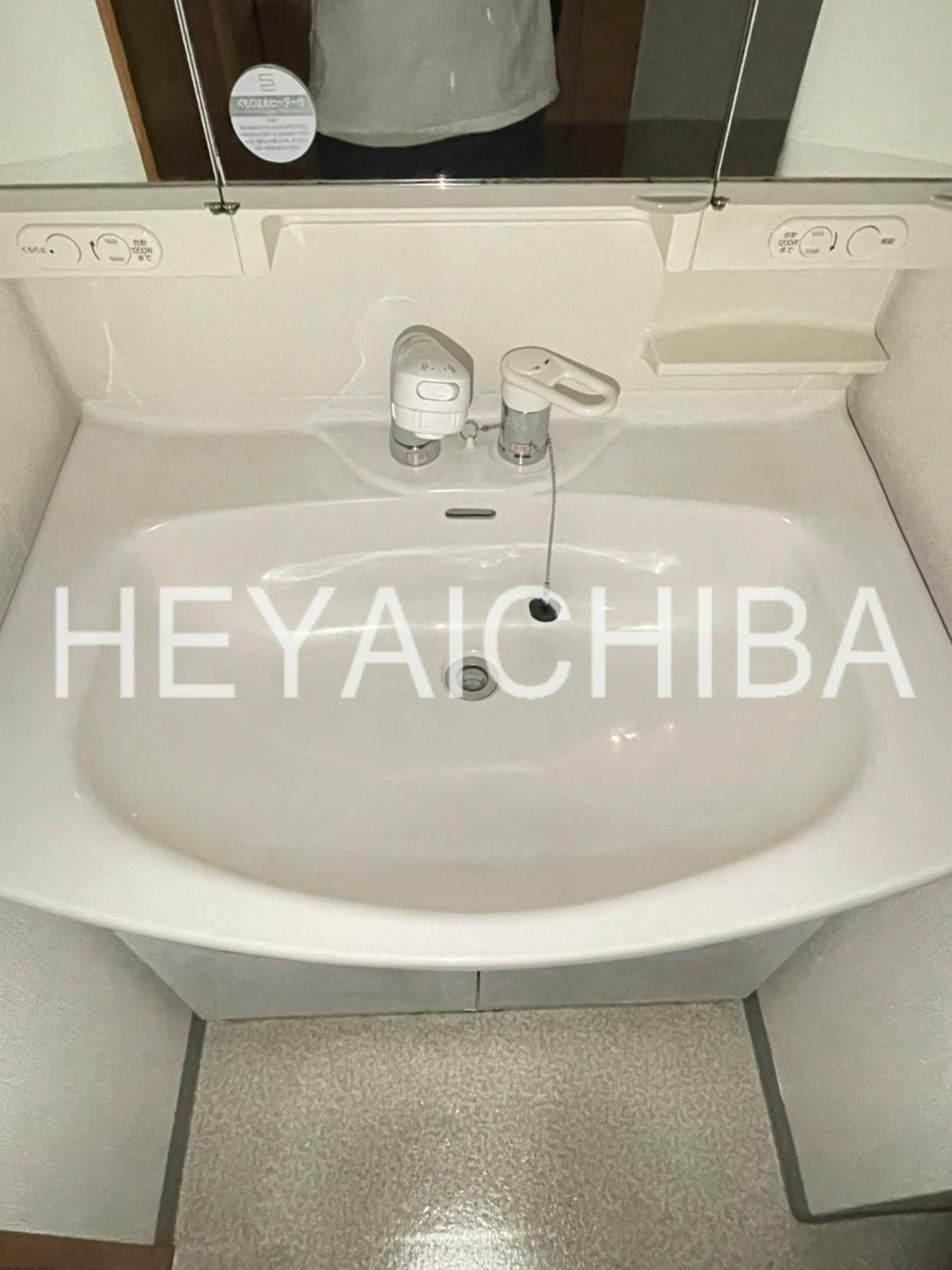 レガリアヒルズ池之端の洗面所