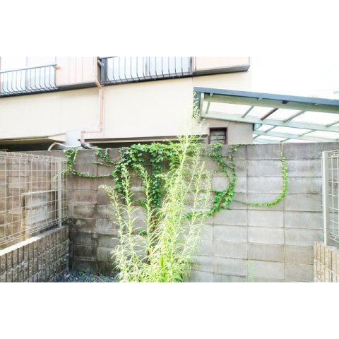 アムール吉田中大路の展望