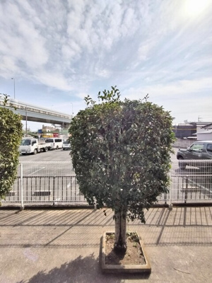 目の前の敷地が駐車場なので日当たり良好★