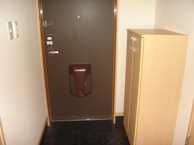 サニーヒルズ出雲の玄関|玄関