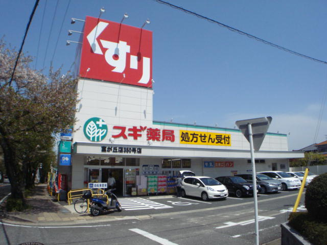 クリス竹の周辺|スギ薬局富が丘店まで507ｍ