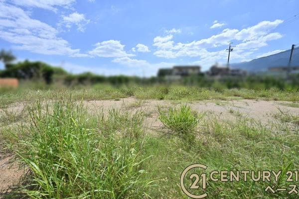 葛城市林堂の売地のその他