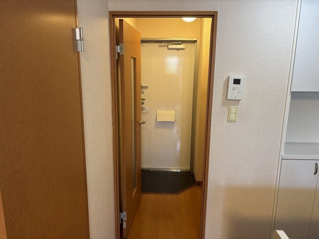 レオパレスアゼリアカーサの玄関