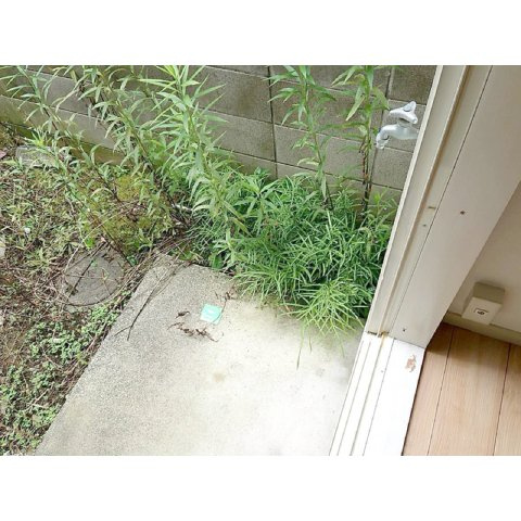 ハイム西調布の内装