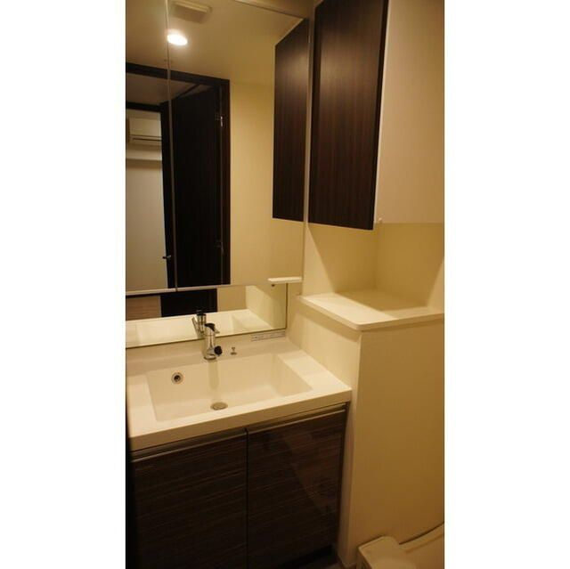 アスール菊川の洗面所