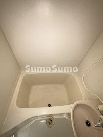 ルネッサンス王子の浴室