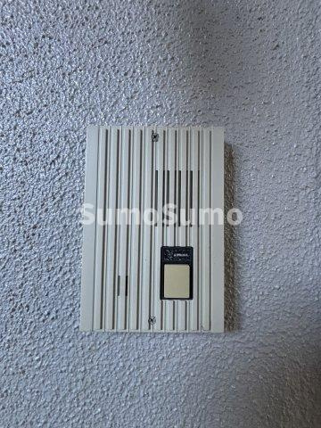 ルネッサンス王子のセキュリティ