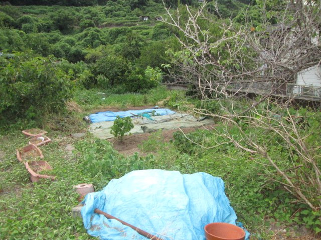別府市朝見3丁目の外観