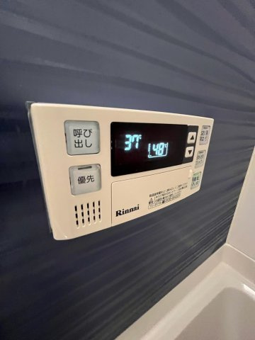 フロイダーホフのその他