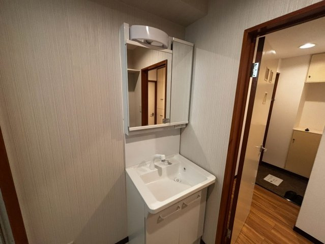 レジデンス東川口の洗面所