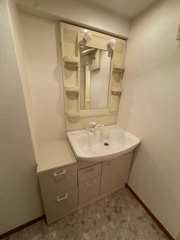 ヴェローノ茨木の洗面所