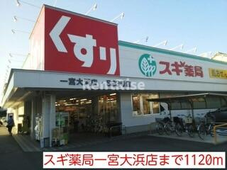 セレノＫのその他|その他