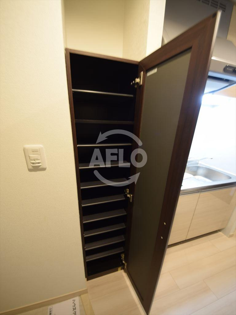 スプランディッド難波Ⅱの玄関|スプランディッド難波II 510　下駄箱
