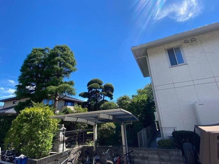 パークヒルズの展望