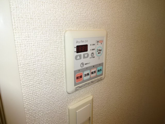 サラスヴァーティーYのその他