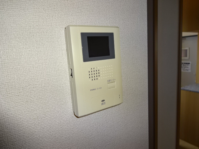 サラスヴァーティーYのセキュリティ