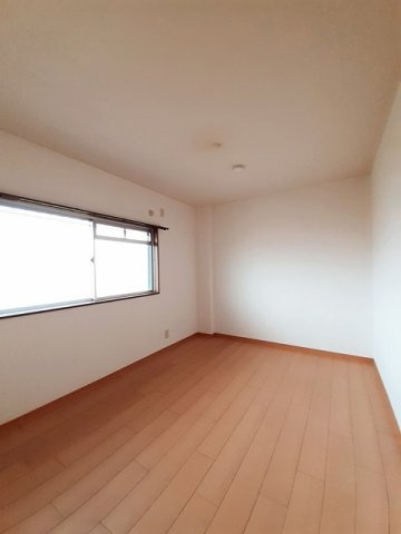 ドリーム岸和田のその他