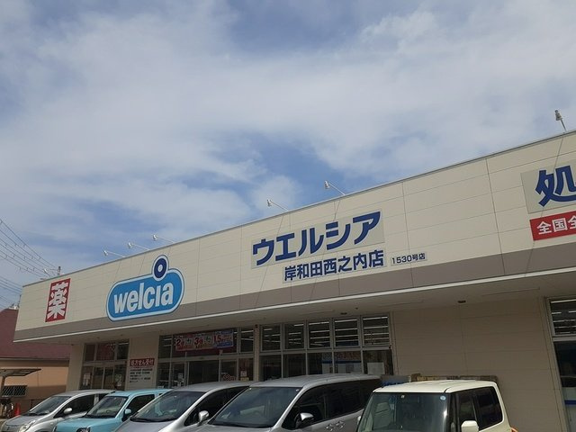 ドリーム岸和田の周辺|ウエルシア様まで442m