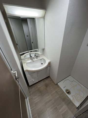 KAISEI北梅田の洗面所