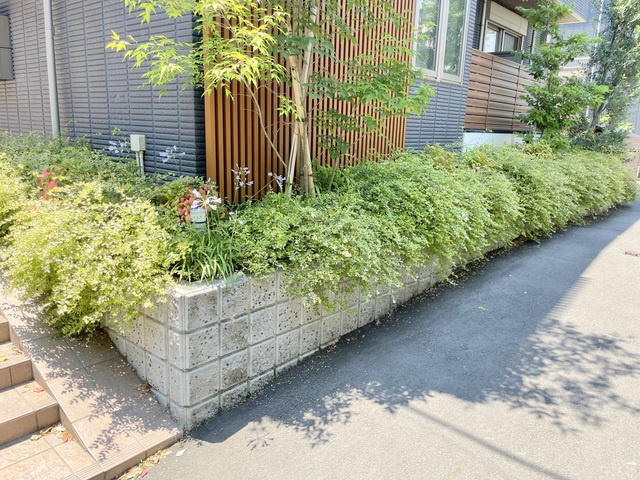 SAKURA TERRACE　YOYOGI　A棟のその他