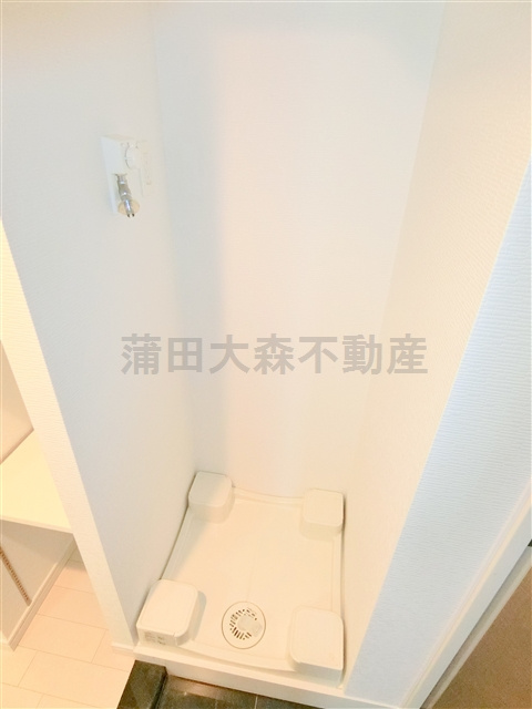 The Valesia Kamata Cityザ・ヴァレッシア蒲田シティの設備|室内洗濯機置き場