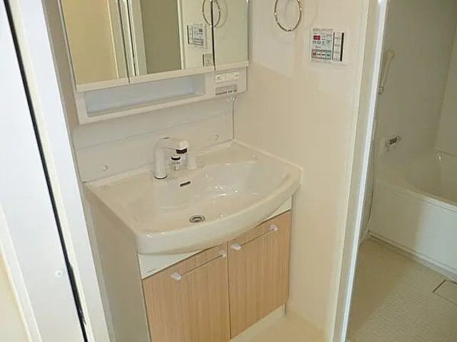 西宮市大屋町の賃貸マンションの洗面所