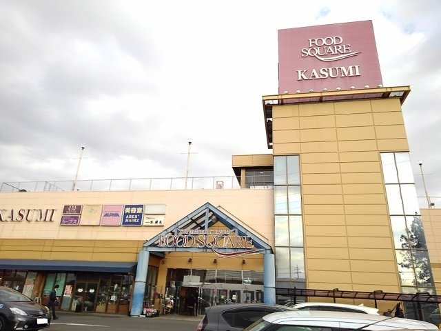 アイランド・ヒルズ下妻の周辺|カスミフードスクエア下妻店まで1100m