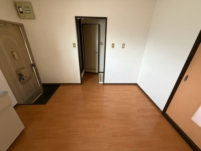 タウニー柿本のその他