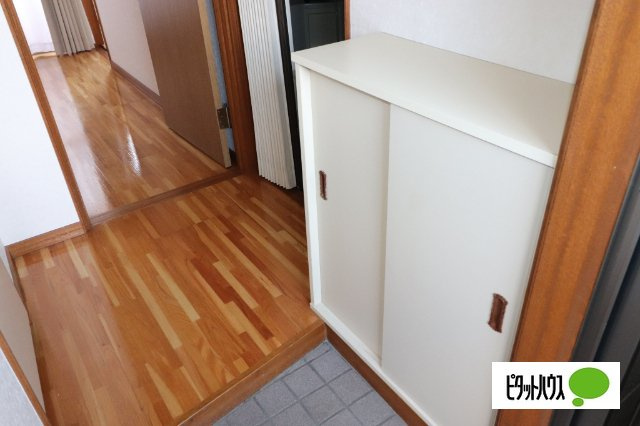 南町山岸ハイツⅡの玄関