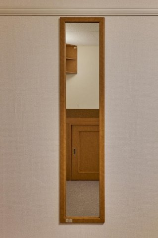 レオパレスドリームのその他|姿見