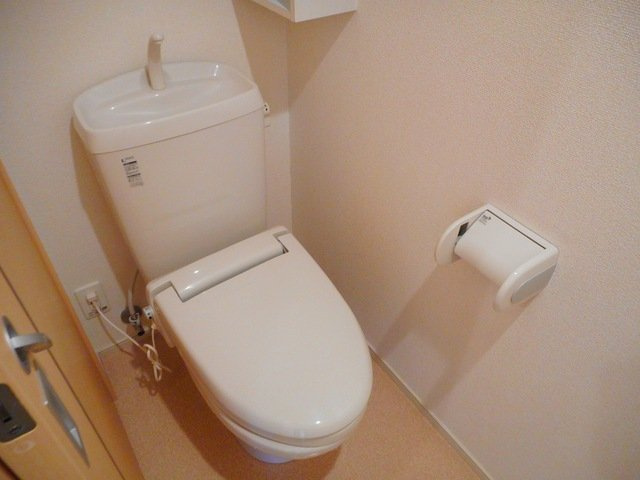 アイランド・ルガートのトイレ