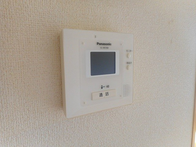 アイランド・ルガートのその他