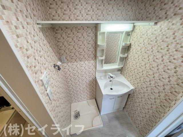 カーサイーストの洗面所