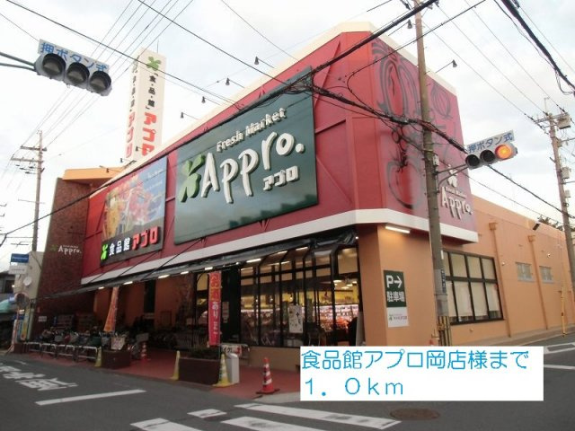 グレース丹南の周辺|食品館アプロ岡店様まで1000m