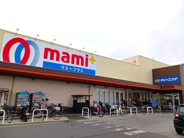 サンシャインビレッジアゼリアＢの周辺|マミーマートプラス柏根戸店まで600m