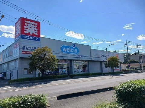 ロータスパークＡの周辺|ウエルシアまで230m