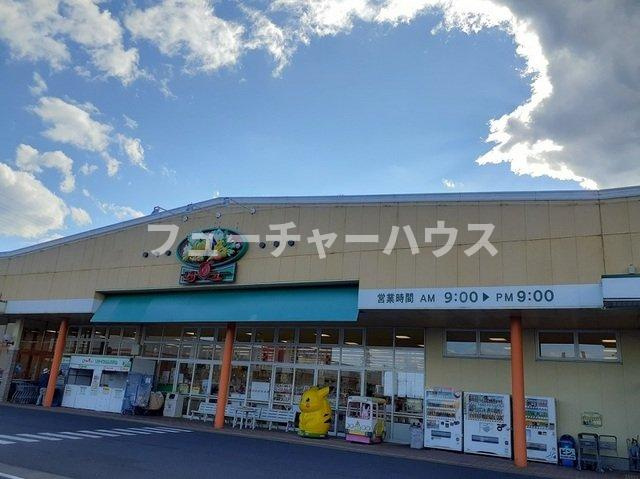 サンリットガーデンⅡの周辺|サンユーストア　新鮎川店まで950m
