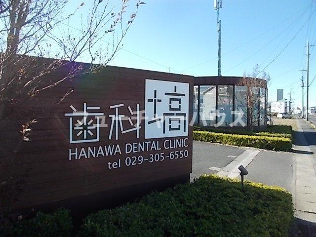 ハイビスカスＢの周辺|歯科　塙まで600m
