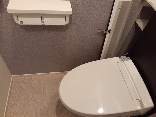 ラームーンのトイレ