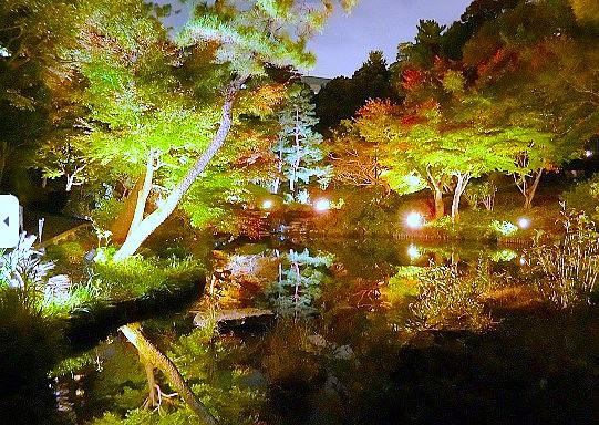 クロスレジデンス高田馬場の周辺