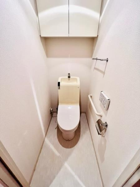Ｂｒｉｌｌｉａ　ｉｓｔ　三軒茶屋　ブラッサムテラスのトイレ|トイレです