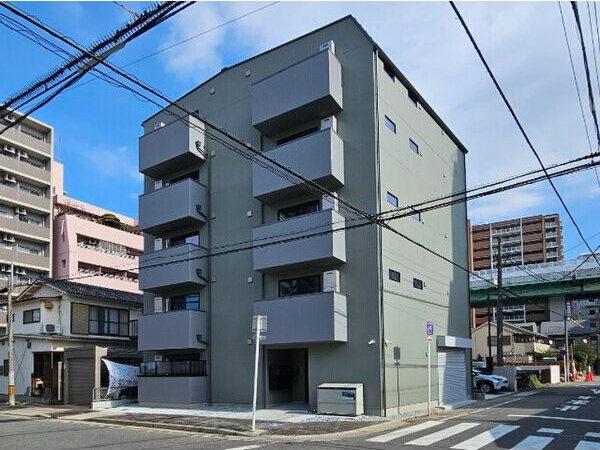 Sugarloaf Park花の木