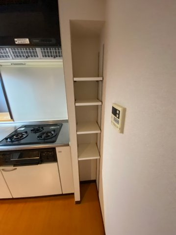 リアンヒロのその他