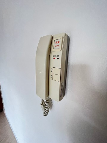 ピンリーブルⅡ