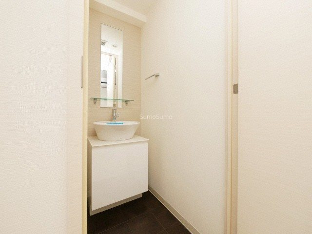 S-RESIDENCE難波Brillerの洗面所