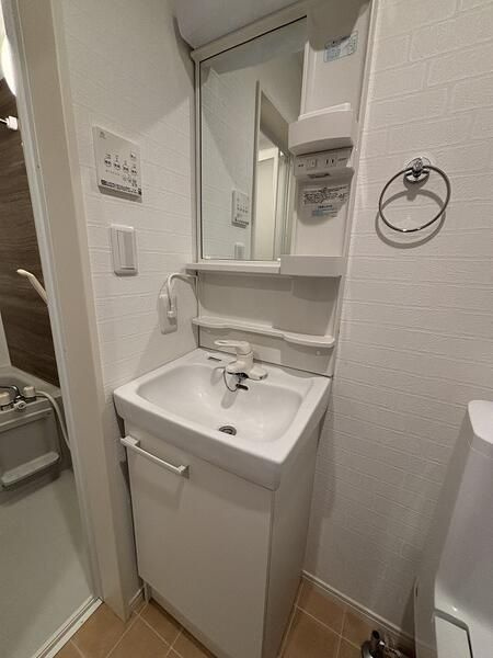 グランデパーチェ稲田堤の独立洗面台