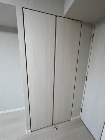 DIPS上野NORTHの収納|収納豊富です