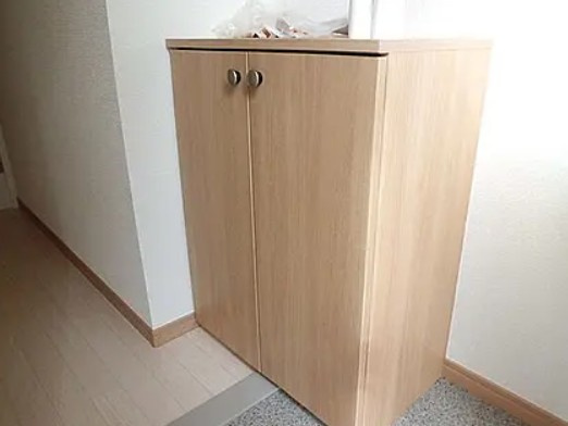 ボナールサトミ　Ⅱの玄関