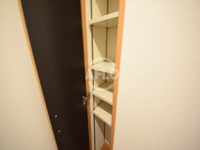 シーガルハイツ心斎橋ＥＡＳＴの収納|シーガルハイツ心斎橋ＥＡＳＴ　シューズボックス