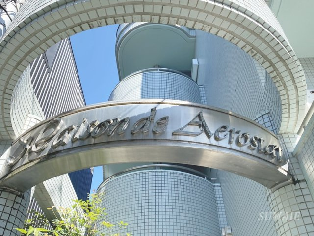 メゾン・ド・アエロスターのその他共用部分|ランドマークです☆